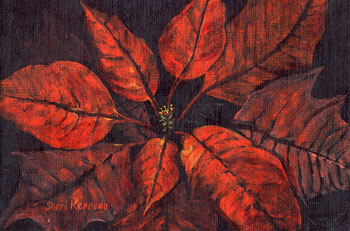 Poinsettia